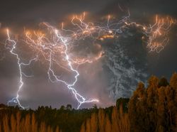 Karya Jawara Siena Internasional Photo Awards 2020 Bikin Terperangah