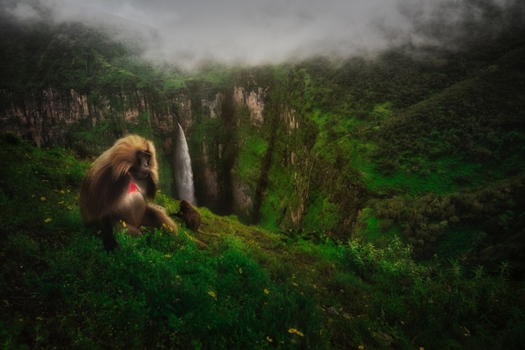 Siena International Photo Awards 2020 Siena International Photo Awards 2020