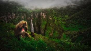 Jawara kategori Under 20 diraih Riccardo Marchegianni. Foto: Siena International Photo Awards