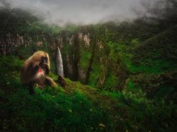 Karya Jawara Siena Internasional Photo Awards 2020 Bikin Terperangah
