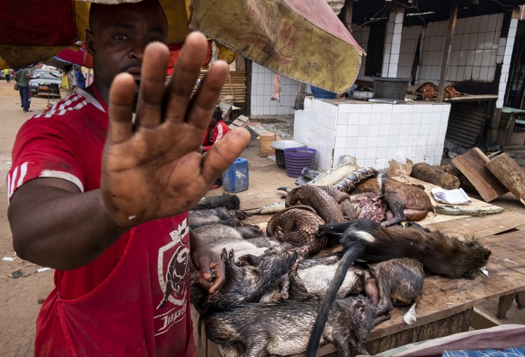 Siena International Photo Awards 2020 Siena International Photo Awards 2020