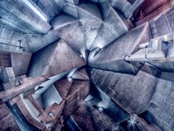 Karya Jawara Siena Internasional Photo Awards 2020 Bikin Terperangah