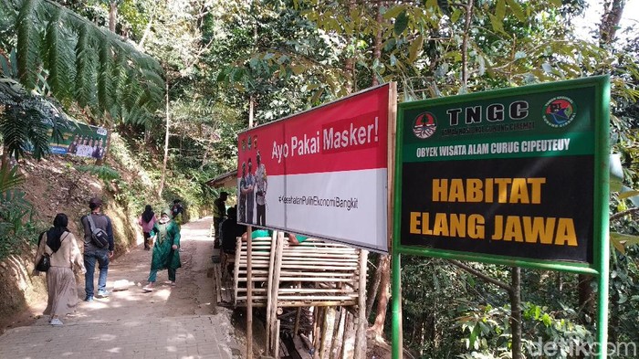 Wisata Curug Cipeuteuy Majalengka