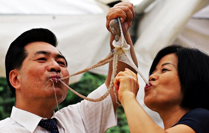 5 Makanan Mematikan yang Tetap Populer Meski Berbahaya 5 Makanan Mematikan yang Tetap Populer Meski Berbahaya