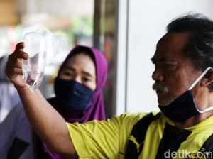 Buset! Ikan Cupang Bisa Tembus Harga Rp 20 Juta/Ekor