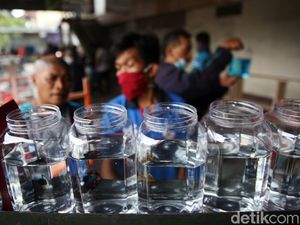Ladang Rezeki Cupang di Tengah Pandemi Corona
