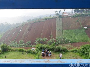 Indahnya Bukit Bintang Bandung, Cek Rute dan Tarifnya di Sini!