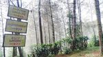 Foto: Bukit Bintang Bandung yang Instagrammable
