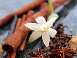 Terkuak, Tradisi Pengobatan Sakral dan Unik Dayak Golik, Diwariskan Lewat Mimpi