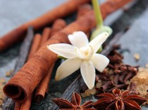 Terkuak, Tradisi Pengobatan Sakral dan Unik Dayak Golik, Diwariskan Lewat Mimpi