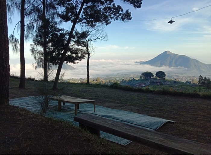 Camping Ground Pinus Cuntel