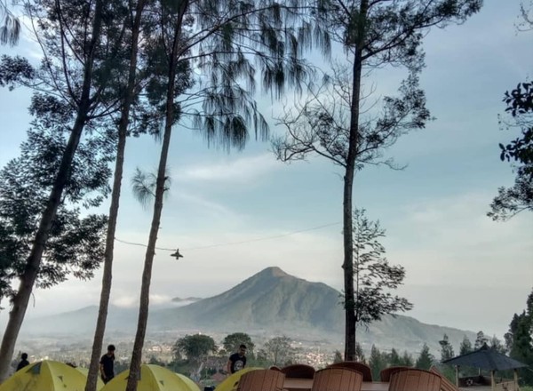 Juga tenda seharga Rp 300 ribu dan rumah bambu Rp 800 ribu per malam. (Dok Camping Ground Pinus Cuntel)