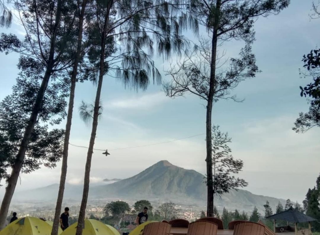 Camping Ground Pinus Cuntel