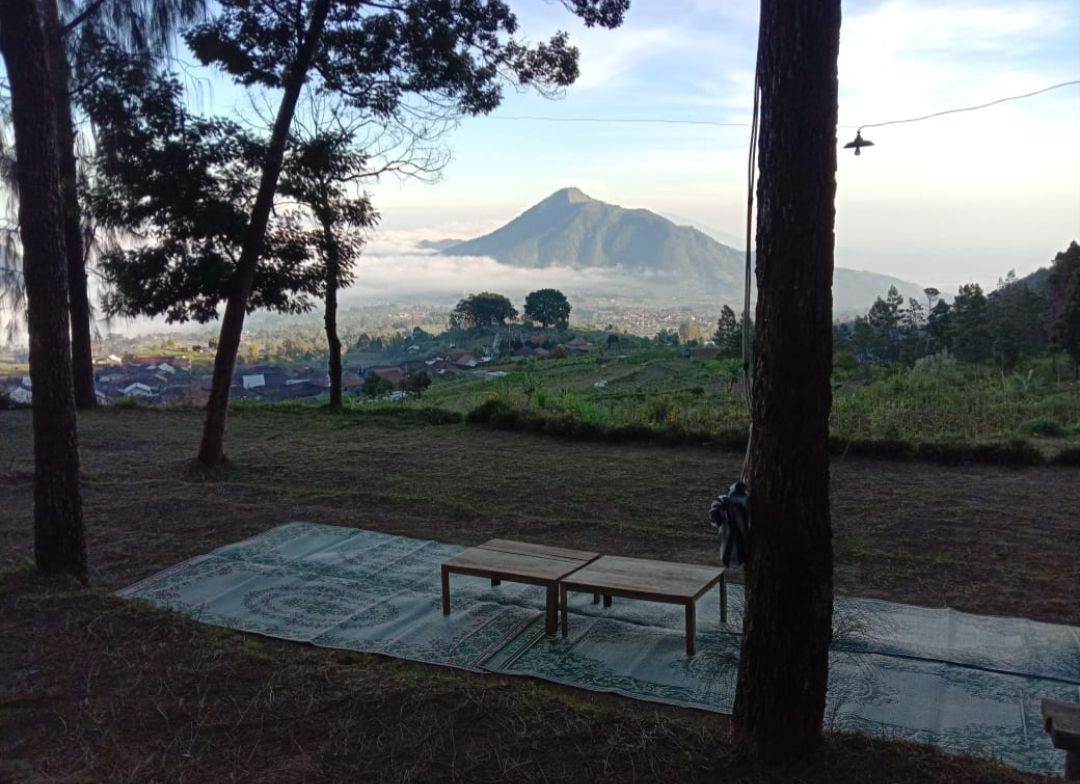 Camping Ground Pinus Cuntel