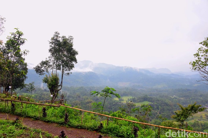 Desa Bojongkondang di Pangandaran