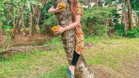 Gayanya saat kulineran selalu menarik perhatian. Menggunakan daster batik adalah ciri khasnya. Dan yang tak kalah unik,  momen saat dirinya berfoto dengan buah kelapa langsung di pohonnya.  Foto: Instagram @djkattybutterlfy