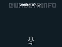 10 Fitur Baru WhatsApp yang Patut Dicoba