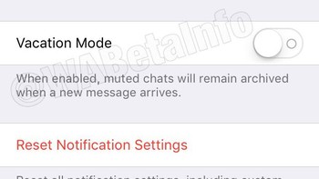 Fitur mode liburan akan memungkinkan pengguna untuk menonaktifkan pemberitahuan dari obrolan. WhatsApp akan memberikan dua pilihan kepada pengguna yakni Beri Tahu Pesan Baru (The Notify New Messages) dan Sembunyikan Otomatis (Auto Hide). Foto: WABetaInfo