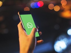 Cara Tahu Pesan WA Telah Dibaca Meski Centang Biru Dimatikan