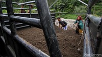 Seorang penambang juga menerima upah bervariasi dari 20 ribu hingga 30 ribu per harinya.