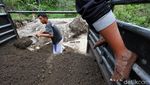Kerja Keras Penambang Pasir Kerikil yang Dihargai Rp 20 Ribu