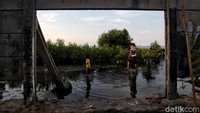 Pantai di pesisir utara Jakarta ini bisa jadi alternatif destinasi wisata selama libur panjang.