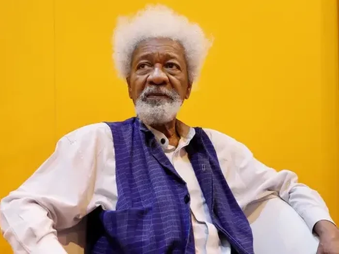 Penulis Asal Nigeri Wole Soyinka