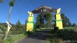 Pesona Negeri di Atas Awan Lumajang