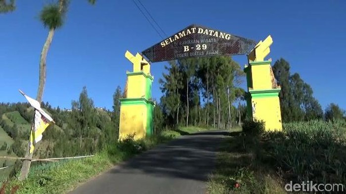 Puncak B29 merupakan salah satu destinasi wisata di Lumajang. Disebut B29 karena letak puncak tersebut berada di ketinggian 2.900 mdpl.