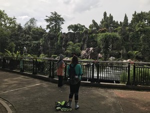 Ragunan Sepi Saat Cuti Bersama, Pengelola: Jumlah Pengunjung Dibatasi