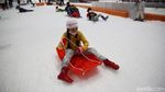 Serunya Main Salju Bersama Kaluarga di Trans Snow World Bekasi