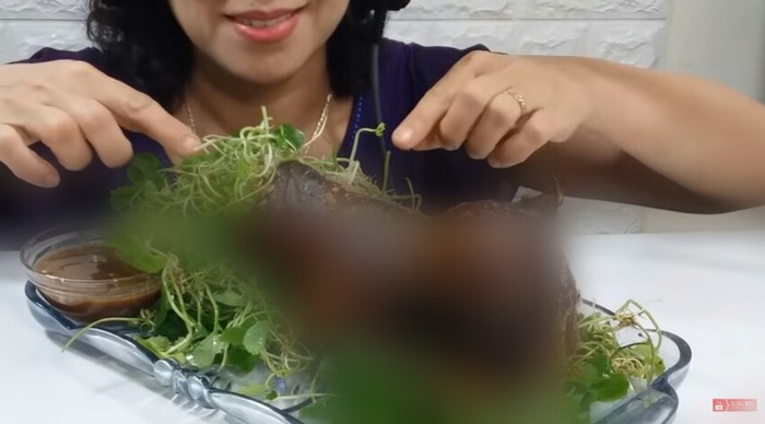 Bikin Geram! Terjadi Lagi YouTuber Mukbang Daging Kucing