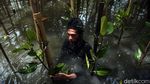 Aksi Tanam Mangrove untuk Lindungi Jakarta