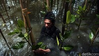 Penanaman Mangrove dilakukan oleh Dinas Badan Perencanaan Pembangunan Daerah Pemerintah Provinsi DKI Jakarta.