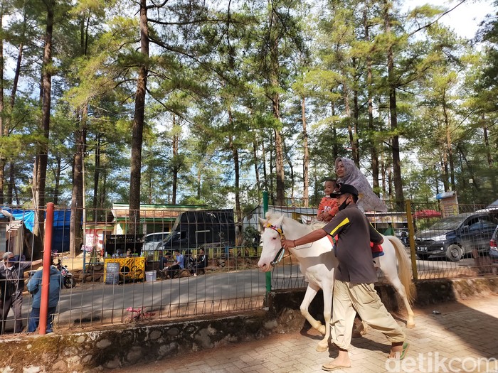 Berkuda di Taman Wisata Alam Malino