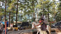 Hal itu menjadikan Taman Wisata Alam Malino menjadi daya tarik tersendiri bagi orang Sulawesi Selatan, khususnya warga Makassar. Cukup membayar Rp 20 ribu, pengunjung Taman Wisata Alam Malino bisa berkuda sepuasnya mengelilingi hutan pinus. (Ibnu Munsir/detikcom)
