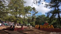 Selain daerahnya sejuk, dan ditumbuhi pohon pinus, Wisata Alam Malino yang berada di Kecamatan Tinggimoncong, Kabupaten Gowa, Sulawesi Selatan ini juga punya wisata naik kuda buat traveler. (Ibnu Munsir/detikcom)