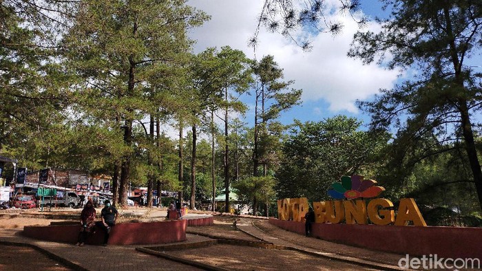 Berkuda di Taman Wisata Alam Malino