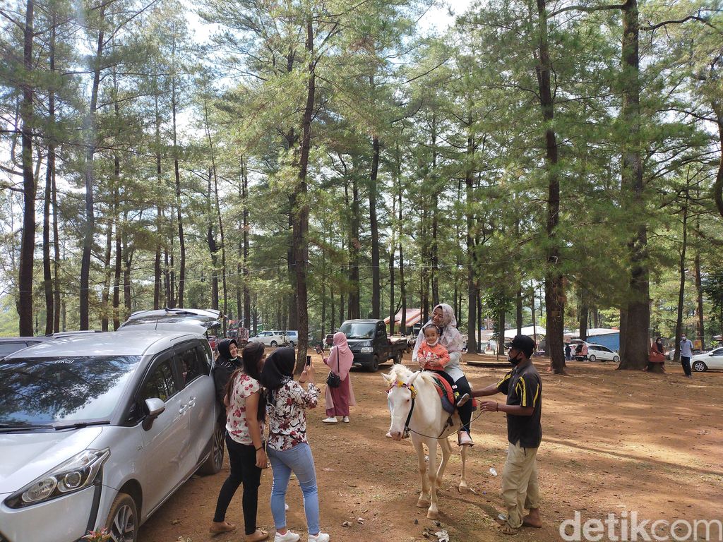 Berkuda di Taman Wisata Alam Malino