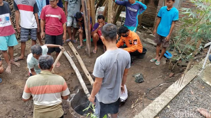 BPBD Ponorogo Evakuasi Bangkai Sapi yang Masuk ke Septic Tank