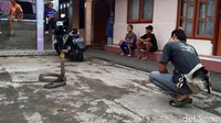 Saking besarnya, banyak orang yang menyebut ular itu sebagai kembaran dari Garaga, king cobra milik Panji Petualang yang sempat bikin heboh karena ukurannya yang sangat besar itu.