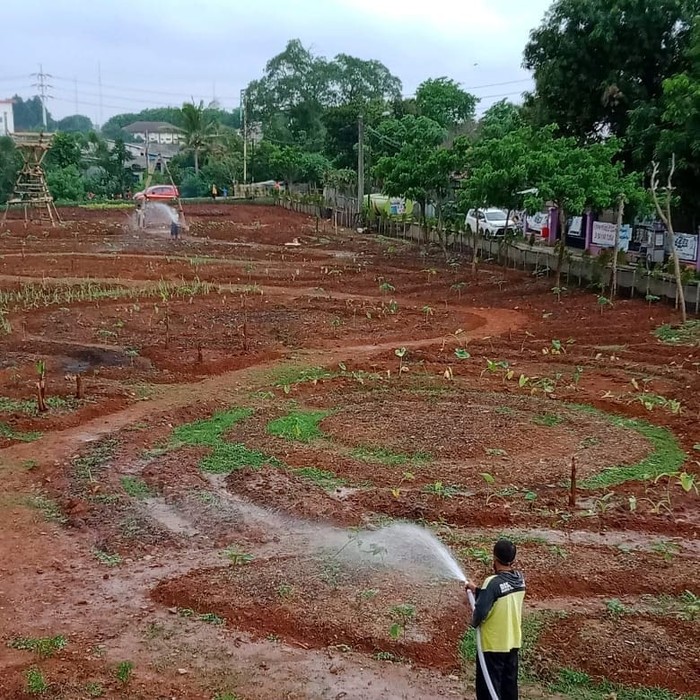 Eco Farm Kampung Baru Tangerang