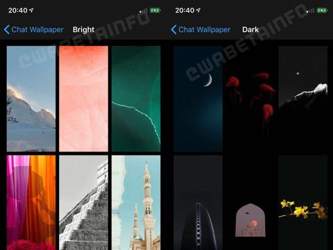 Fitur Advanced Wallpaper di WhatsApp
