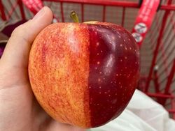 Potret Kambing Sampai Sapi yang Corak Tubuhnya Ajaib