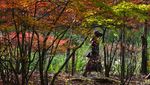 Indahnya Musim Gugur di Jepang