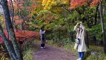 Indahnya Musim Gugur di Jepang