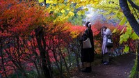 Orang-orang berfoto sambil berjalan di sepanjang jalan setapak di Nagano, barat laut Tokyo, Jepang.