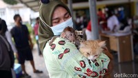 Warga membawa kucing dan anak kera untuk disuntik.