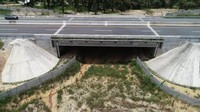 Jalan Tol Trans Sumatera Ruas Pekanbaru - Dumai (Underpass Perlintasan Gajah KM 61)Foto: Dok. PT Hutama Karya (Persero)