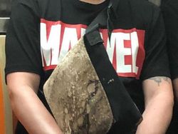 Wkwk! 10 Kejadian Kocak di Kereta